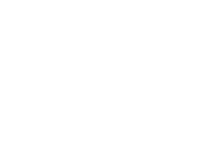 logo-davide-services